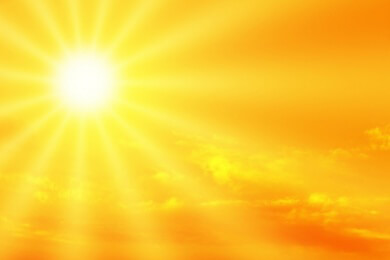 Vitamin D - Funktion und Bedarf