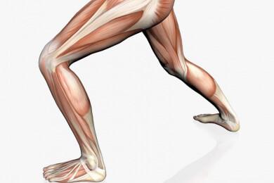 Allgemeines über Laktat - Wirkung, Bedeutung im Leistungssport und gesundheitliche Aspekte