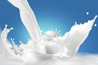 Milch - Gesundheitswert und Verwendungsmöglichkeiten