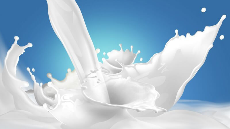 Wissenswertes über Milch