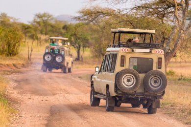 Safaris - Merkmale, Arten, Verhaltensregeln und Ziele