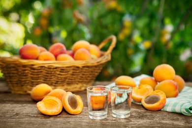 Wissenswertes zu Obstbränden - Geschichte, Herstellung, Sorten und Gesundheitswert