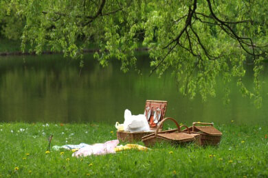 Picknick - Merkmale und Gestaltungsmöglichkeiten