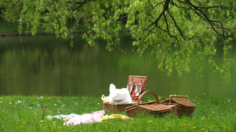 Die besten Ideen für ein Picknick