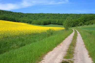 Wandergebiete - Unterschiede, Tipps zur Suche und lohnenswerte Ziele