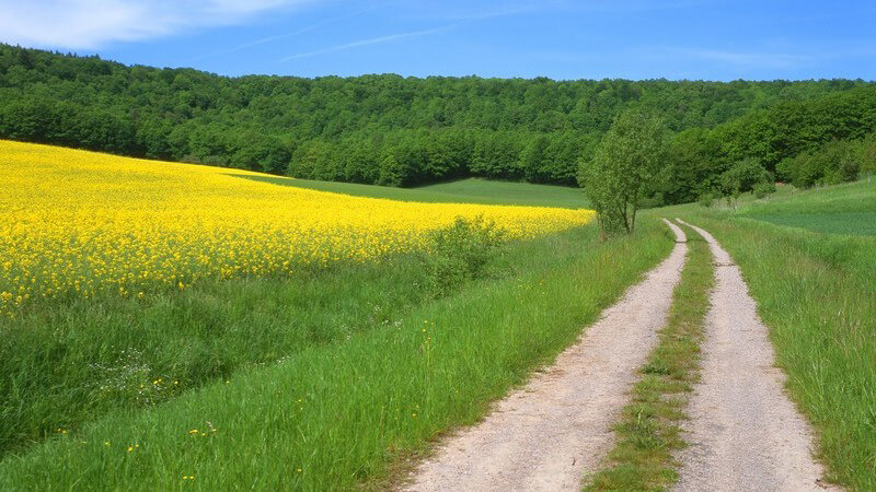 Das passende Wandergebiet finden