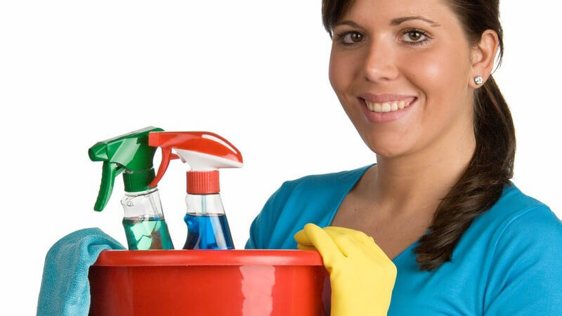 Der Grundstock an Reinigungsmitteln in der Küche - welche Reiniger werden für welche Zwecke benötigt?
