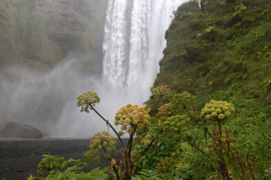 Estland - Lage, Sehenswürdigkeiten und Spezialitäten