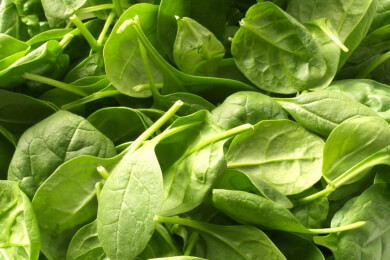 Von Löwenzahnpesto bis Spinatpesto - Pesto selber machen und leckere Rezeptideen