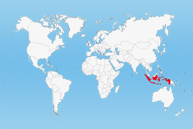  Indonesien  Lage Sehensw rdigkeiten und Spezialit ten