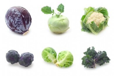 Wintergemüse - ein Überblick der besten Sorten und Tipps zur Verwendung