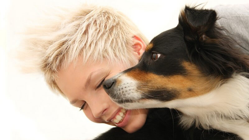 Bei der Hundehaarallergie kommt es nur bei bestimmten Rassen zu Symptomen