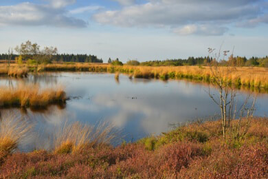 Naturfotografie - Typische Merkmale, Voraussetzungen und Tipps für wirkungsvolle Naturfotos