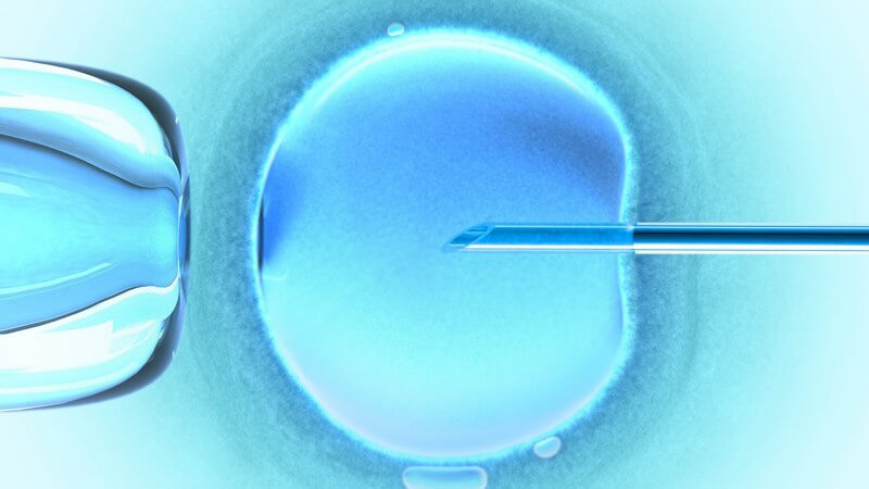 Welche Bedingungen eine Mehrlingsschwangerschaft wahrscheinlich machen und die Faktoren für die Zeugung von Zwillingen oder Drillingen