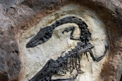 Libanon - Lage, Sehenswürdigkeiten und Spezialitäten