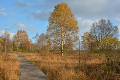 Sehenswertes im Reiseziel Belgien