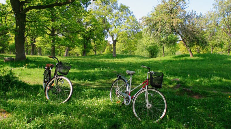 Das Cityrad - perfekt für lange, gemütliche Fahrradtouren