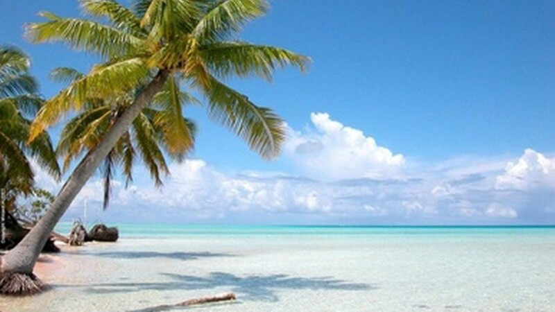 Urlaub in der Karibik: Sehenswertes im Reiseziel Bahamas