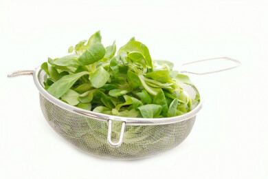 Tipps zum Kauf einer Salatschleuder und wie man Salat auch ohne Salatschleuder trocknen kann