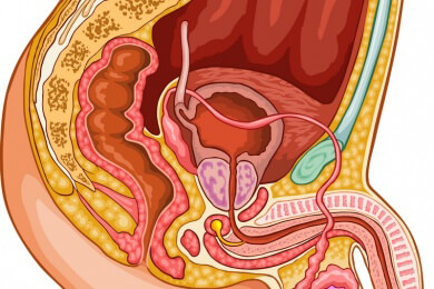 Hodenhochstand: Ursachen, Symptome und Behandlung sowie weitere Arten der Lageanomalie des Hodens