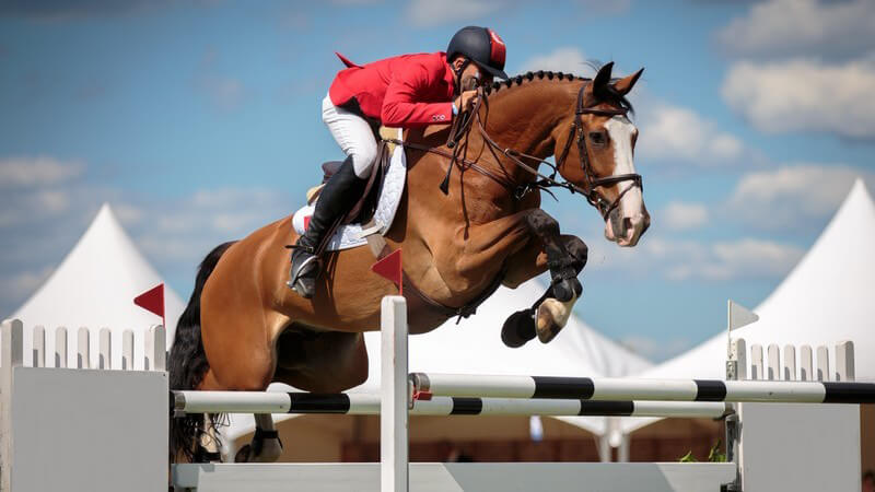 Voraussetzungen, um Jockey werden zu können und Infos zur Ausbildung