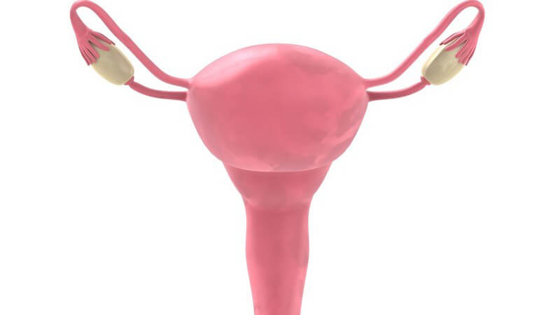 Besonders häufig entstehen Uterus-Polypen in den Wechseljahren