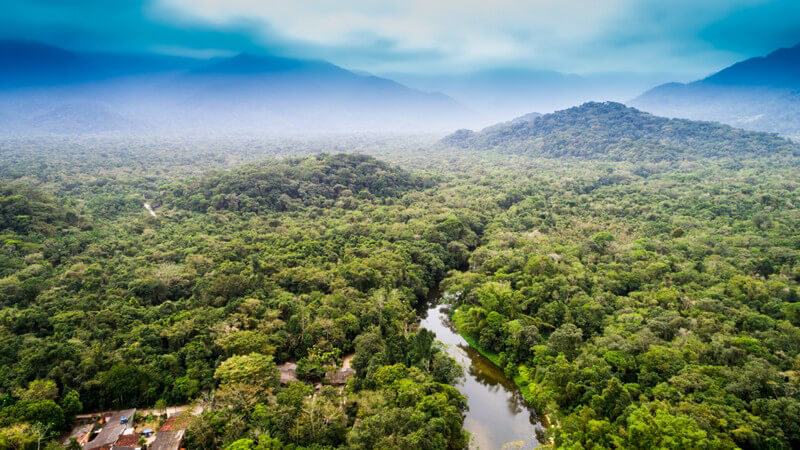 Im Nationalpark Canaima bemerkenswerte Pflanzen und Tiere entdecken