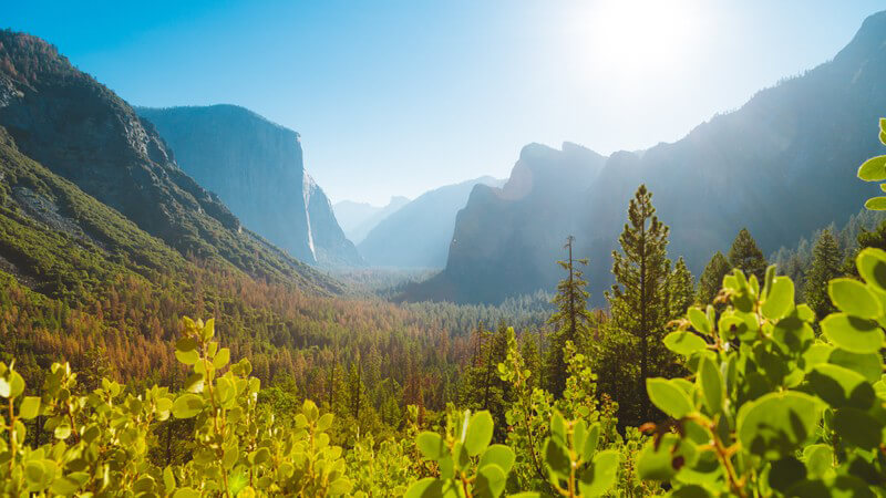 Was kann man im Yosemite Nationalpark erleben?