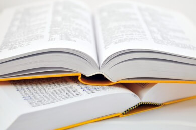 Wörterbücher, die unverzichtbaren Reisebegleiter: Funktion und Aufbau