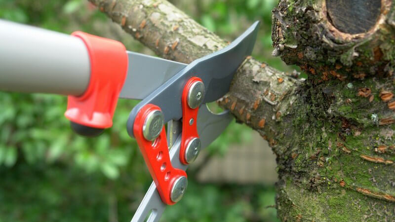 Gartenscheren werden zum Schneiden von Ästen und Bäumen, Hecken und den verschiedensten Pflanzen benötigt - auch für das Trimmen des Rasens findet man das passende Modell