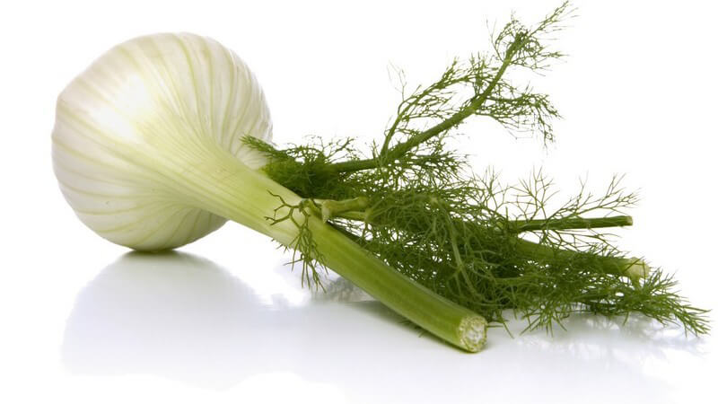 Die Zugabe von Kümmel oder Fenchel kann Blähungen lindern