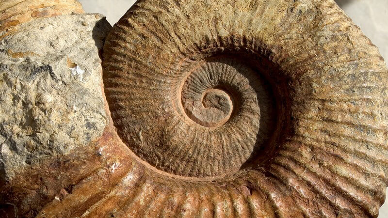 Als Grundlage der Geologie gilt die Allgemeine Geologie; daneben bestehen noch andere Teilgebiete - Wir geben einen Überblick