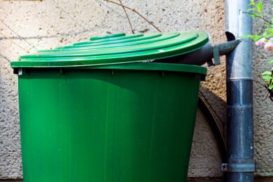 Regentonnen - Arten, Vorteile, bester Standort und Hinweise zur Instandhaltung und Reinigung