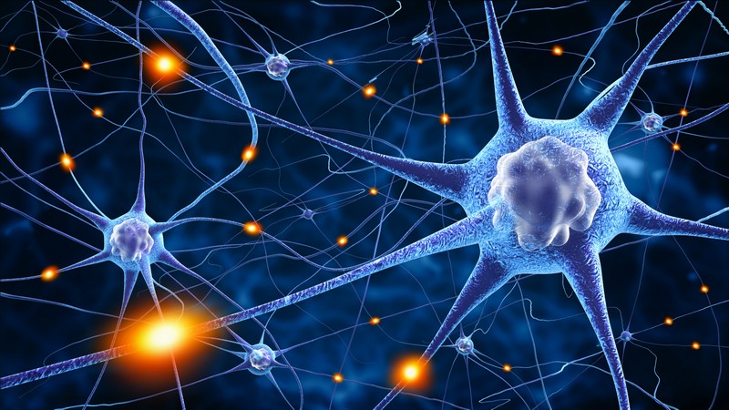 Die Durchführung und mögliche Risiken der transkraniellen Magnetstimulation zur Untersuchung von neurologischen Erkrankungen