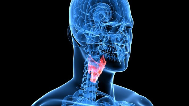 Funktion und Durchführung sowie nötige Vorbereitungen einer Stroboskopie zur Untersuchung der Stimmlippen