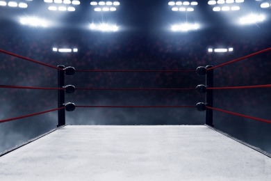 Merkmale des Backyard-Wrestlings - Hilfsmittel, Voraussetzungen und Infos zum Mat-Wrestling