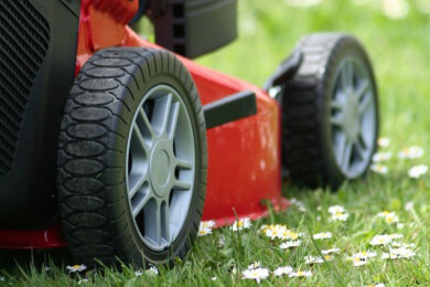 Vertikutierer - Arten, Wartung und Tipps zum richtigen Vertikutieren