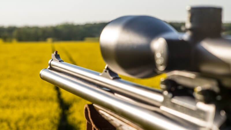 Von Treibjagd bis Fallenjagd - es gibt unterschiedliche Jagdarten; wir informieren über die Gründe und Aufgaben der Jagd sowie die Kritik an der Jagd durch den Tierschutz