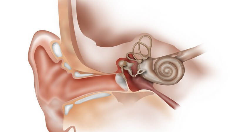 Die Entstehung einer Gehörgangsentzündung und wie man sie erkennen und behandeln kann