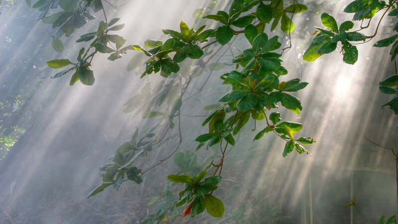 Wissenswertes zum Pagsanjan-Wasserfall