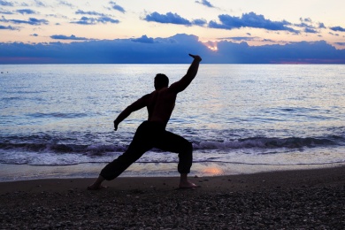 Stile und Formenvielfalt beim Wing Chun