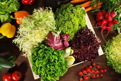 Salatsorten auf einen Blick - Die Vielfalt von Salat und Salatgemüse