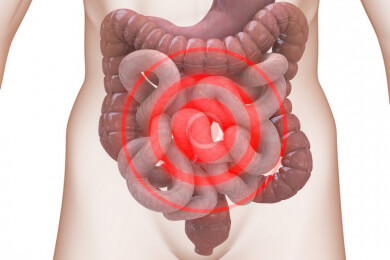 Funktionsweise von Probiotika und die Bedeutung für den Darm