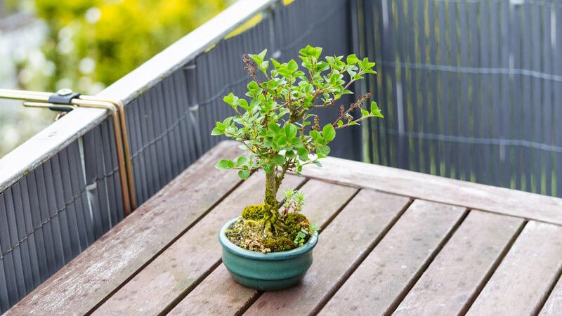 Aus einem Balkon oder einer Terrasse lässt sich beispielsweise ein Wintergarten machen; auch eine Überdachung oder ein gänzlicher Neubau einer Terrasse etc sind möglich