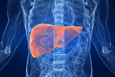 Ernährungstipps für Lebergeschädigte