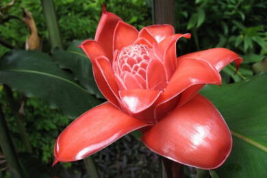 Paraguay - Lage, Sehenswürdigkeiten und Spezialitäten