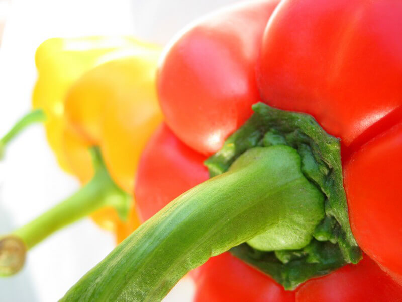 Paprika wird am Besten roh gegessen Paprika wird am Besten roh gegessen