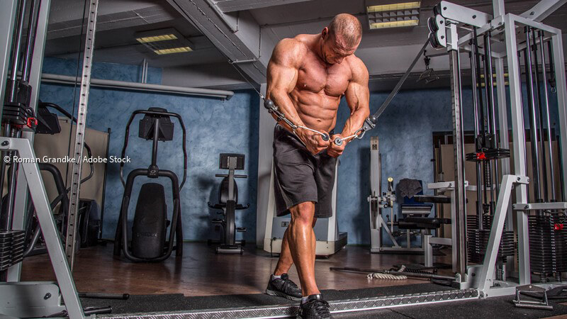 ᐅ Bodybuilding - Merkmale, Ziele und Trainingstipps