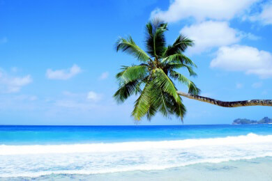 Seychellen - Lage, Sehenswürdigkeiten und Spezialitäten