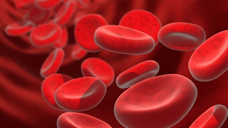 Die Zusammensetzung des Blutes und mögliche Rückschlüsse auf den Gesundheitszustand eines Menschen